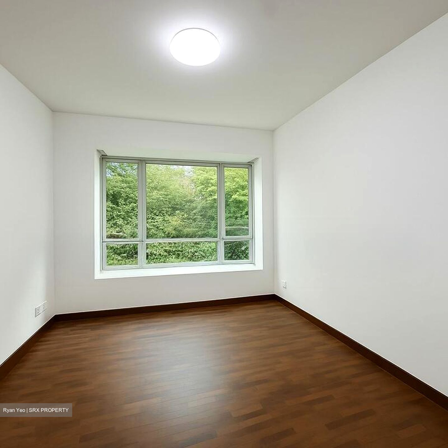 The Raintree (D21), Condominium #502554481